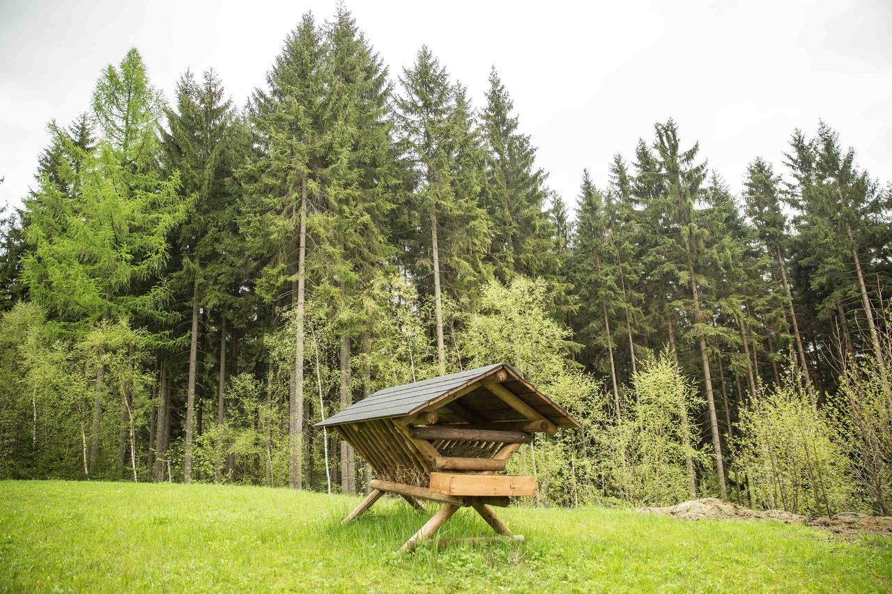 Chalet Гаррахов Екстер'єр фото